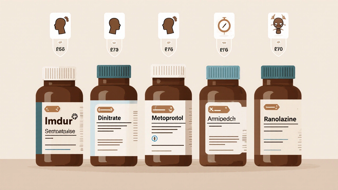 Five angina medications compared with cost and side effect icons