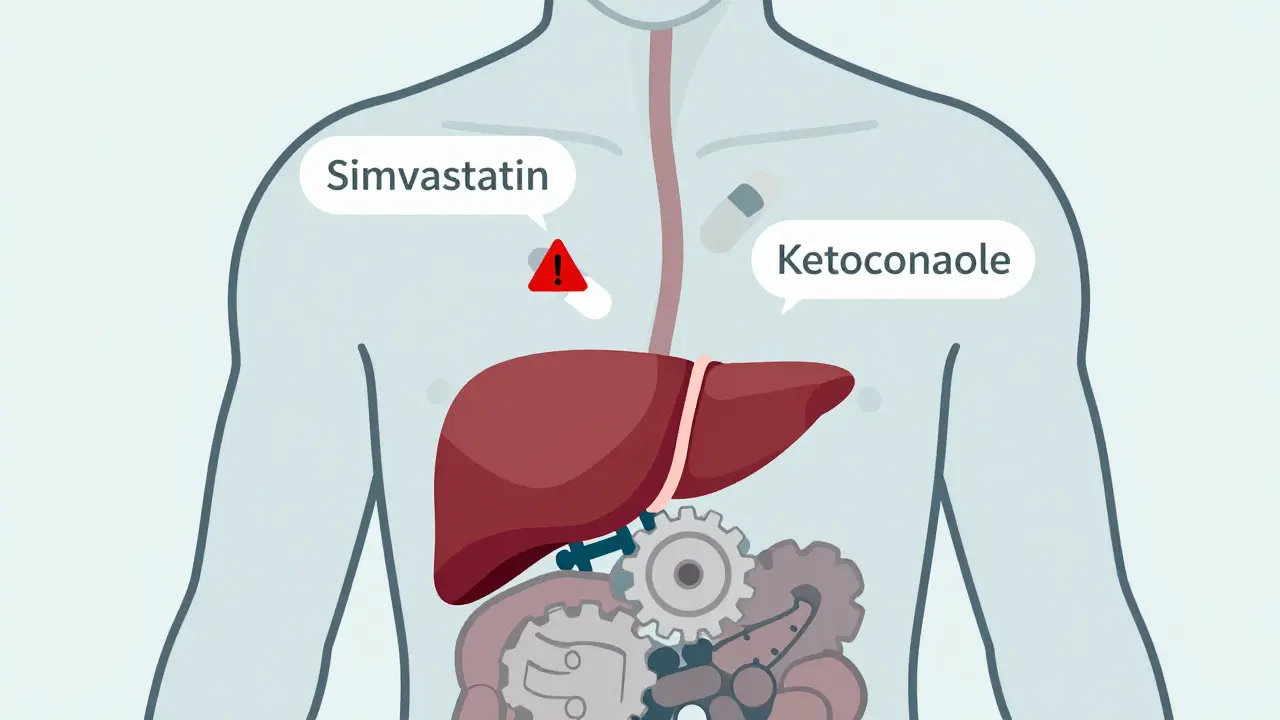 How Drug-Drug Interactions Work: Mechanisms and Effects Explained